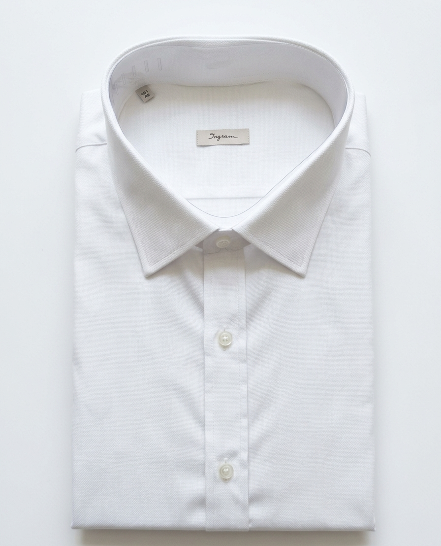 Camicia cotone Ingram REGOLARE